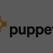 Puppet Setting Up Test Environment And Collecting Package Data