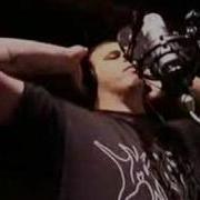 Cannibal Corpse Festering In The Crypt