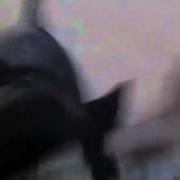 MWD FEE Bite