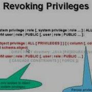 Learning Oracle Application Developer 53