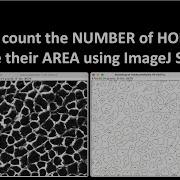 How To Count The Number Of HOLES And Measure Their AREA Using ImageJ Software