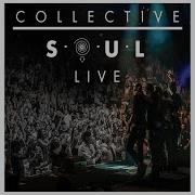 Gel Live