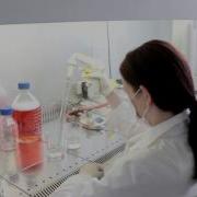 TestLine Clinical Diagnostics