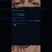 Use Touch Command To Create A File Touch Command Kalilinux Cyber Ethicalhacking KingHoker5