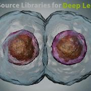 Day 2 Open Source Python Libraries For Deep Learning