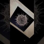 Vibrant Circle Python Turtle Programming
