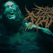 Flesh Feeder Torment Nexus Music Video