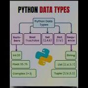 Python Data Types Coder Javascript Viral Codinglover Python
