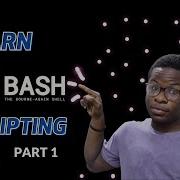 Introduction To BASH Scripting 2022 Learn How To Write A Executable Script