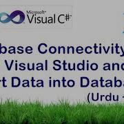 Database Connectivity In C And Insert Data Into Database Urdu Hindi