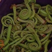 Why You Should Try Eating Fiddlehead Ferns
