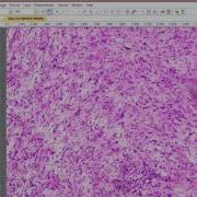 Microscope Camera Software Getting Started Part 1