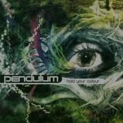 Pendulum Through The Loop
