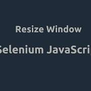 Selenium Javascript Resize Window