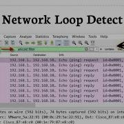 Как обнаружить сетевую петлю с помощью Wireshark проверка подключения