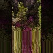 Colorful Spring Slit Scan VFX