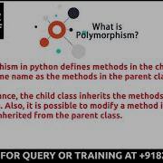 PYTHON FOR BEGINNERS 32 POLYMORPHISM WITH WITHOUT INHERITANCE INNOVATE YOURSELF