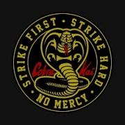 Cobra Kai Quiver Extended Call Of The Cobra Original