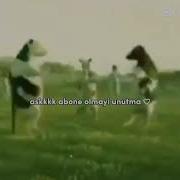 Sakın Unutma
