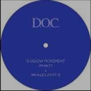 Shadow Movement Whales Part 1