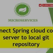 Step06 Connect Spring Cloud Config Server To Local Git Repository