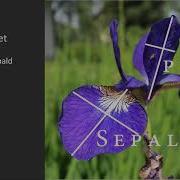 Learning Neural Networks With Tensorflow The Iris Dataset Packtpub Com