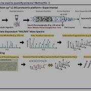 B4B Module 10 Intro Quantitative Proteomics
