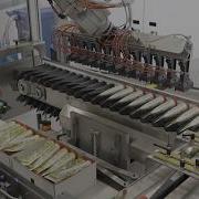 Tray Packer Machine NTP 170 High Speed Packing Up To 170 Tubes Min