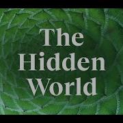 A Mind Blowing Explanation Of Symmetry Frank Wilczek For Big Think
