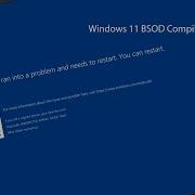 Windows 11 BSOD Compilation VM Part 5