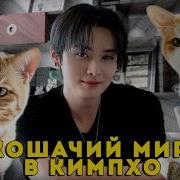 The KNOw Way Ep 0 КОШАЧИЙ МИР В КИМПХО НА РУССКОМ