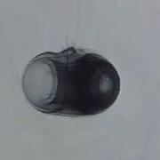 Ring Vortex
