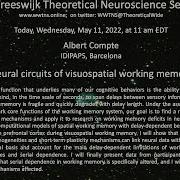Neural Circuits Of Visuospatial Working Memory Albert Compte IDIPAPS Barcelona