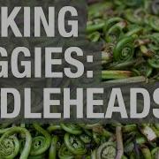 Pick Your Own Veggies Fiddleheads