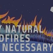 Why Certain Naturally Occurring Wildfires Are Necessary Jim Schulz