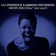 LTJ X PERIENCE AMMUIN ORCHESTRA Never End Radio Version
