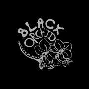 Black Orchid Pretty Face Demo