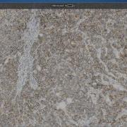 3DHISTECH MembraneQuant