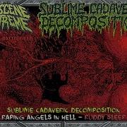 Sublime Cadaveric Decomposition Official Live Obscene Extreme 2019 Ruddy Sleep