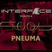 Interfase Pneuma Tool Cover