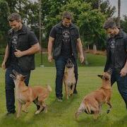 The Complete Dog Training System Build A Better Relationship With Your Dog