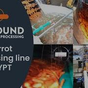 Carrot Processing Line AGR Egypt Allround Vegetable Processing