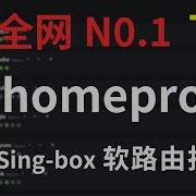 全网最细 软路由 Openwrt Singbox插件homeproxy教程下期 手动新增分流规则 规则集二进制转换 DNS泄露