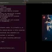 Flutter RaisedButton Simple Example