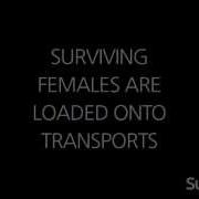 Infant Annihilator Cuntcrusher Lyric Video