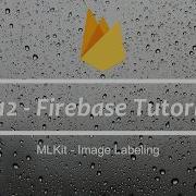 12 Firebase Tutorial MLKit Image Labeling