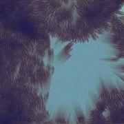 Flocking Test 2