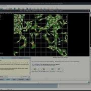 How To Tile Stitch And Deconvolve Large Field Of View Microscopy Images With Huygens Software