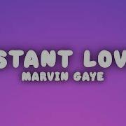 Marvin Gaye Distant Lover Lyrics