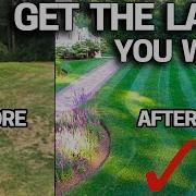How To FIX An UGLY Lawn With RESULTS Step By Step For Beginners EASY